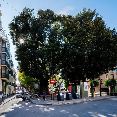 Apartamento Suites Setas & Bicicletas Electricas Gratis